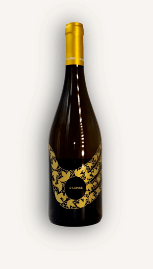 12 Lunas - el Grillo y la Luna