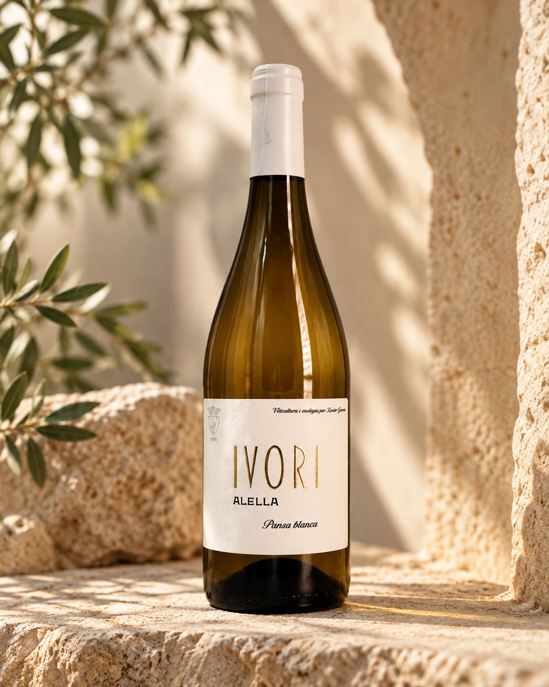 Ivori - Marfil